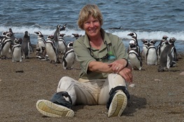 Penguin Awareness Day: Celebrating Dee Boersma’s 40 Years of Studying Penguins